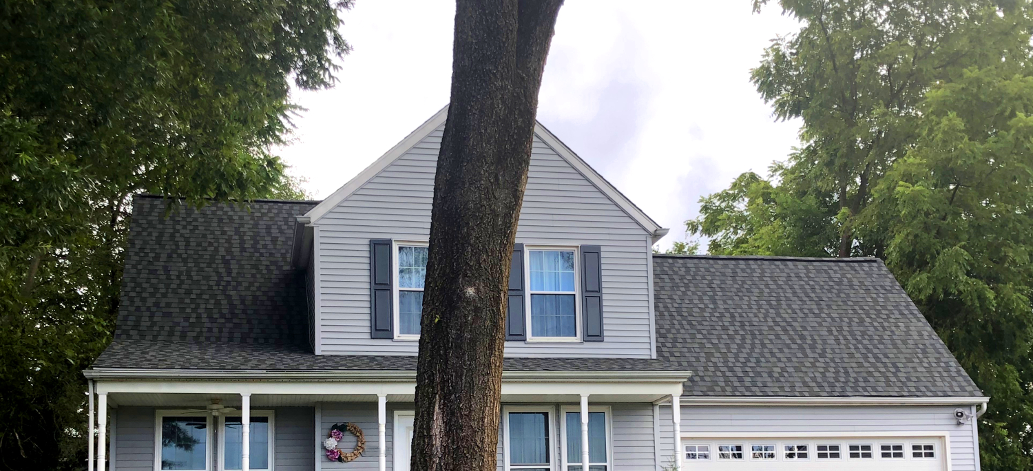 Ferndale Roofers Repair and Replace